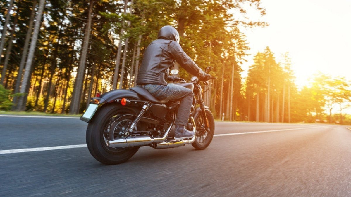 A rider on a cruiser motorcycle heads down a pine lined road as the evening sun sinks low through the trees