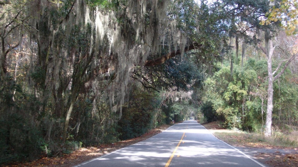 A two lane road runs under moss draped oaks in Beaufort, the kind of surface road personal injury attorneys in Beaufort County know