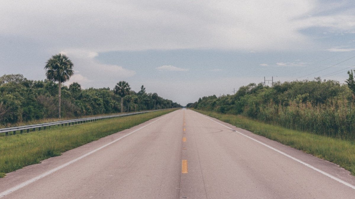 A straight two lane highway runs between palmetto trees and roadside grass under a wide gray sky with no traffic in sight