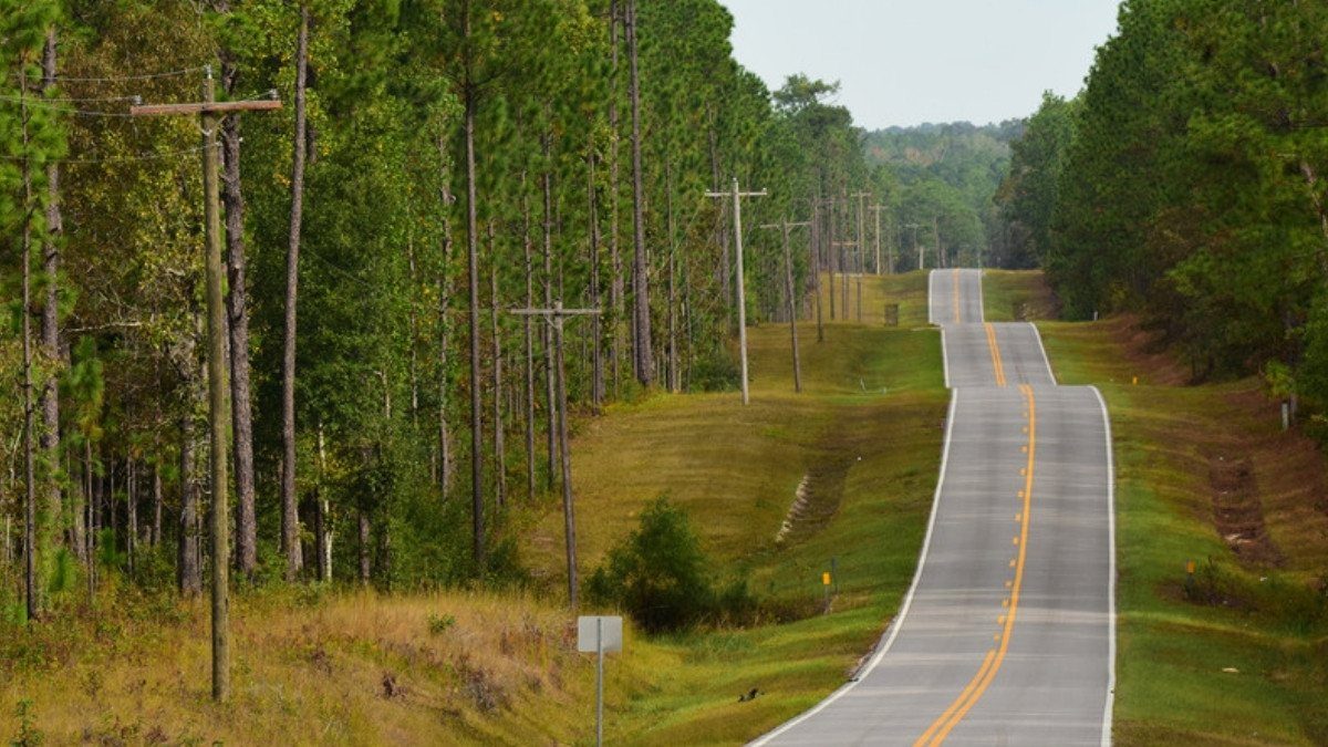 Tall pines and utility poles line a two lane rural highway, like the quiet roads personal injury attorneys in Orangeburg County cover