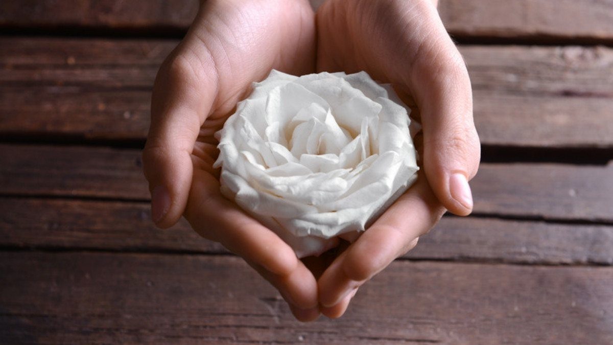 Cupped hands hold a single white rose over weathered wood, a quiet loss families bring to wrongful death attorneys in Summerville